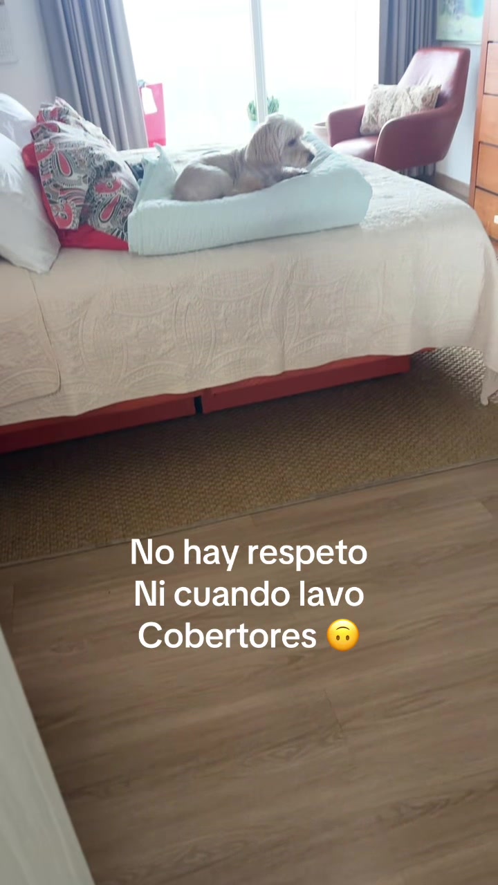 @Beyli