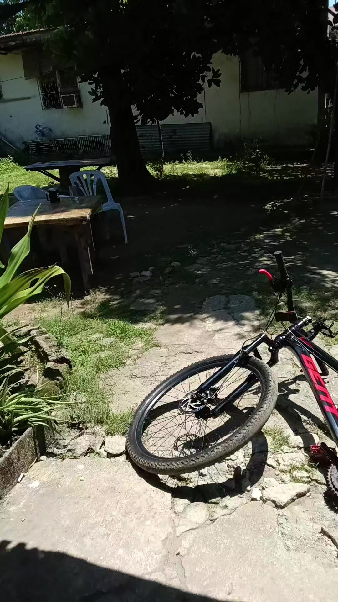 @Mig Can't Sprint🚀🚵