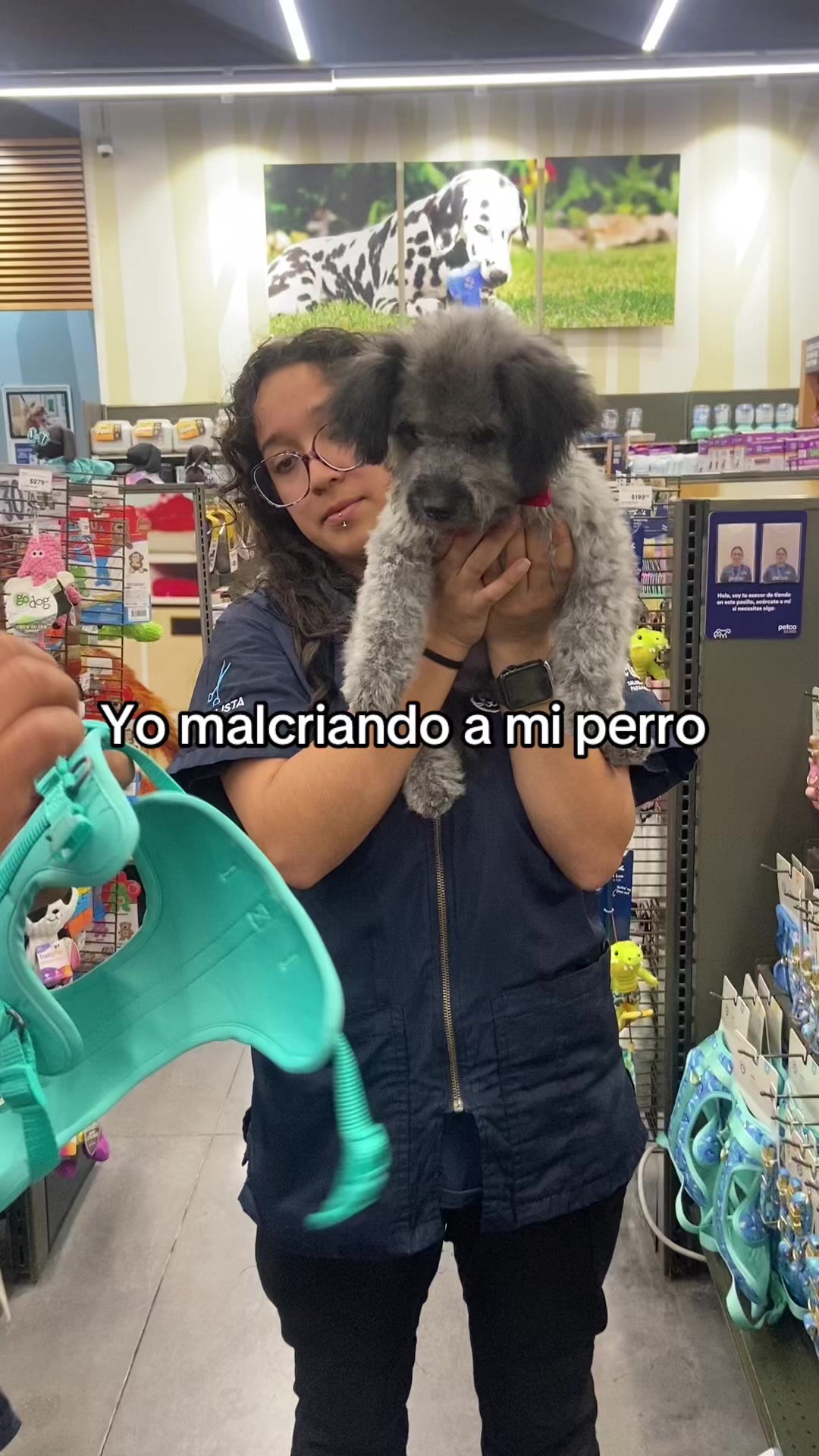 @Paloma Zambrano