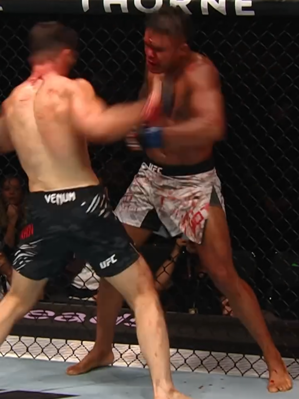 @🇺🇸MMA/AZE🇦🇿🇪🇺