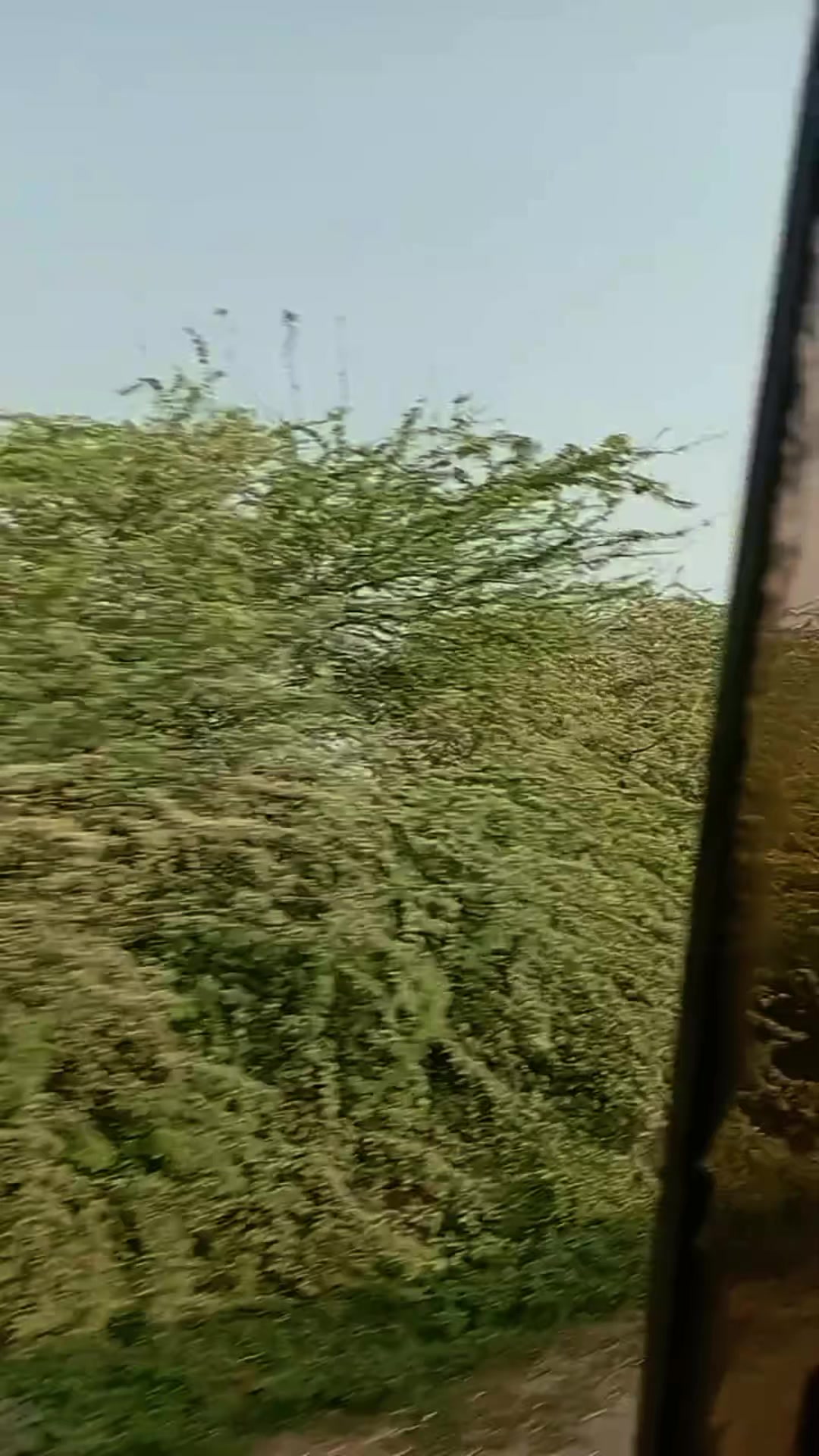 @🔵سعد خان