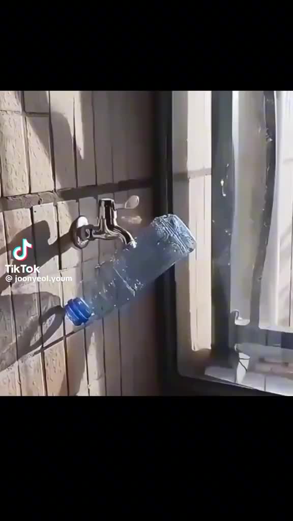 @javeria