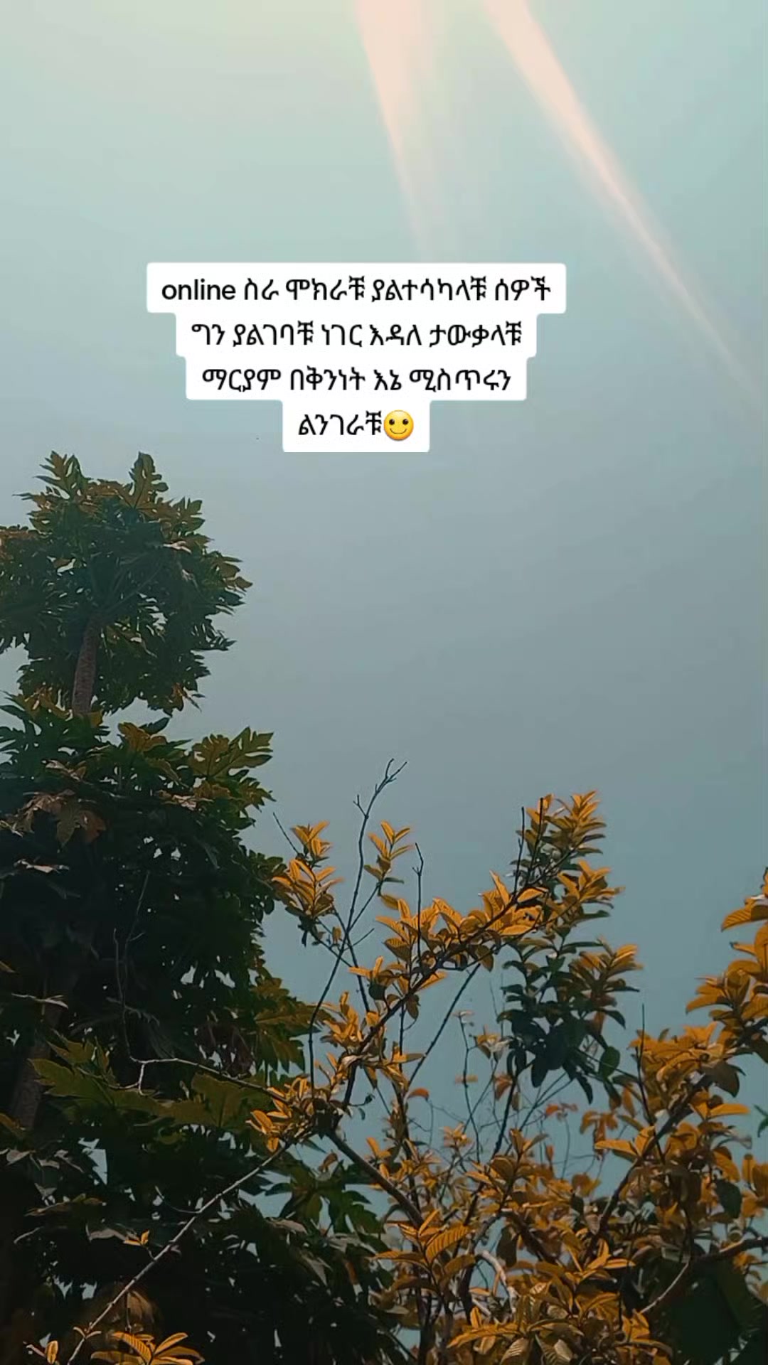 @ᴢᴏʟᴀ✧