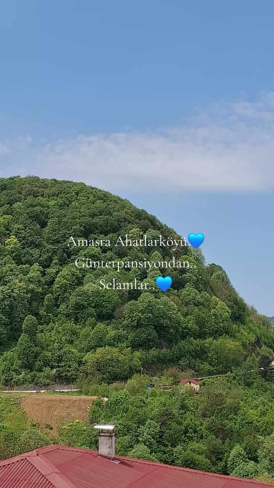 @Ayşegülgünter