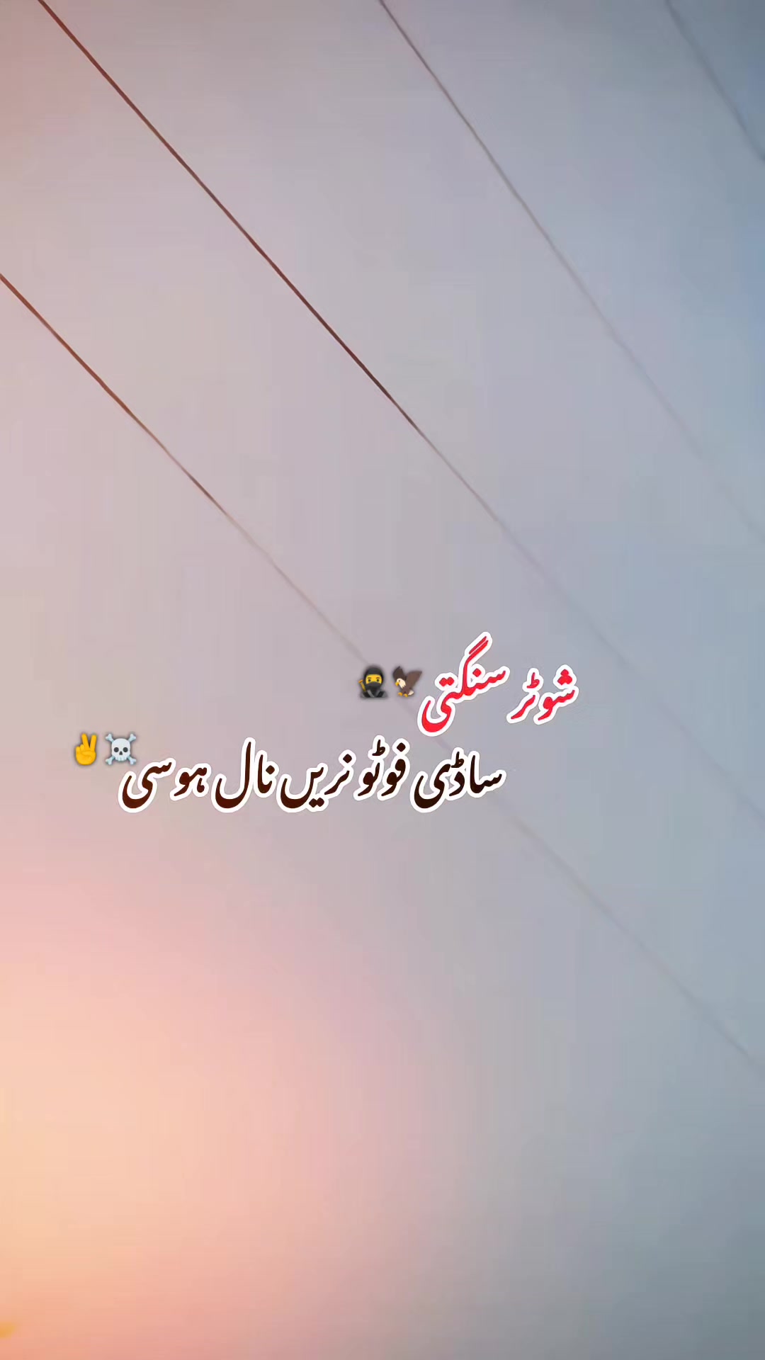 @راجـــــو ♣