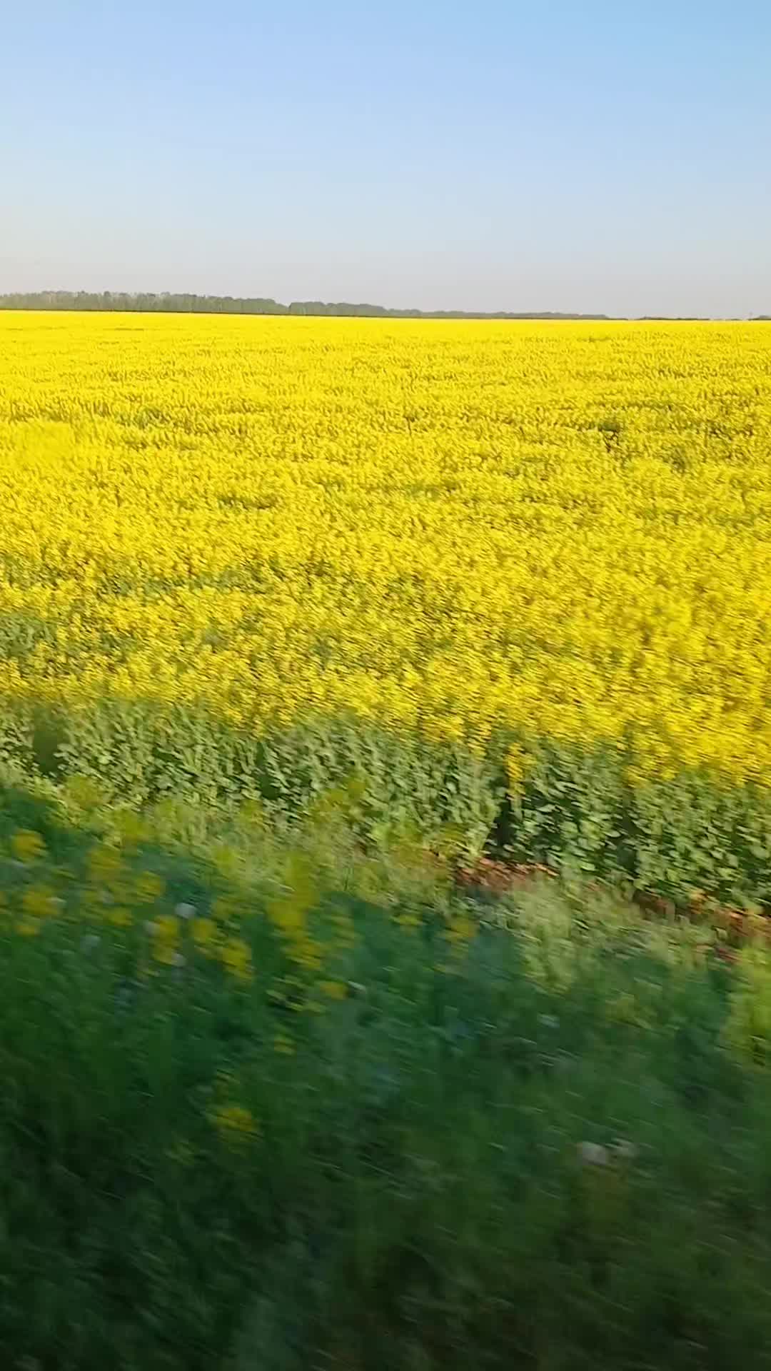 @Юлічка😊
