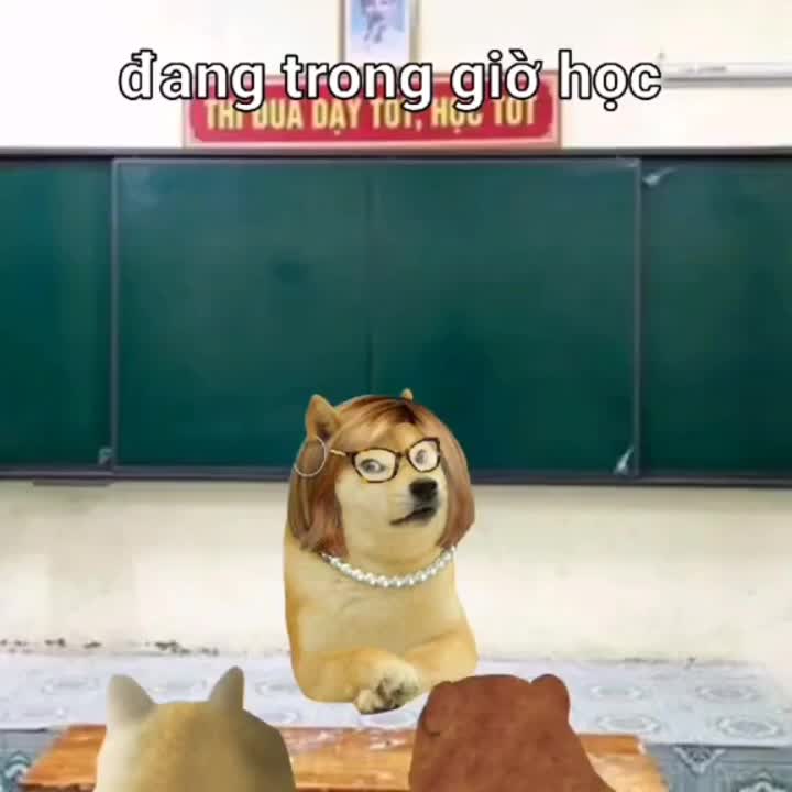 @phi thi&ecirc;n