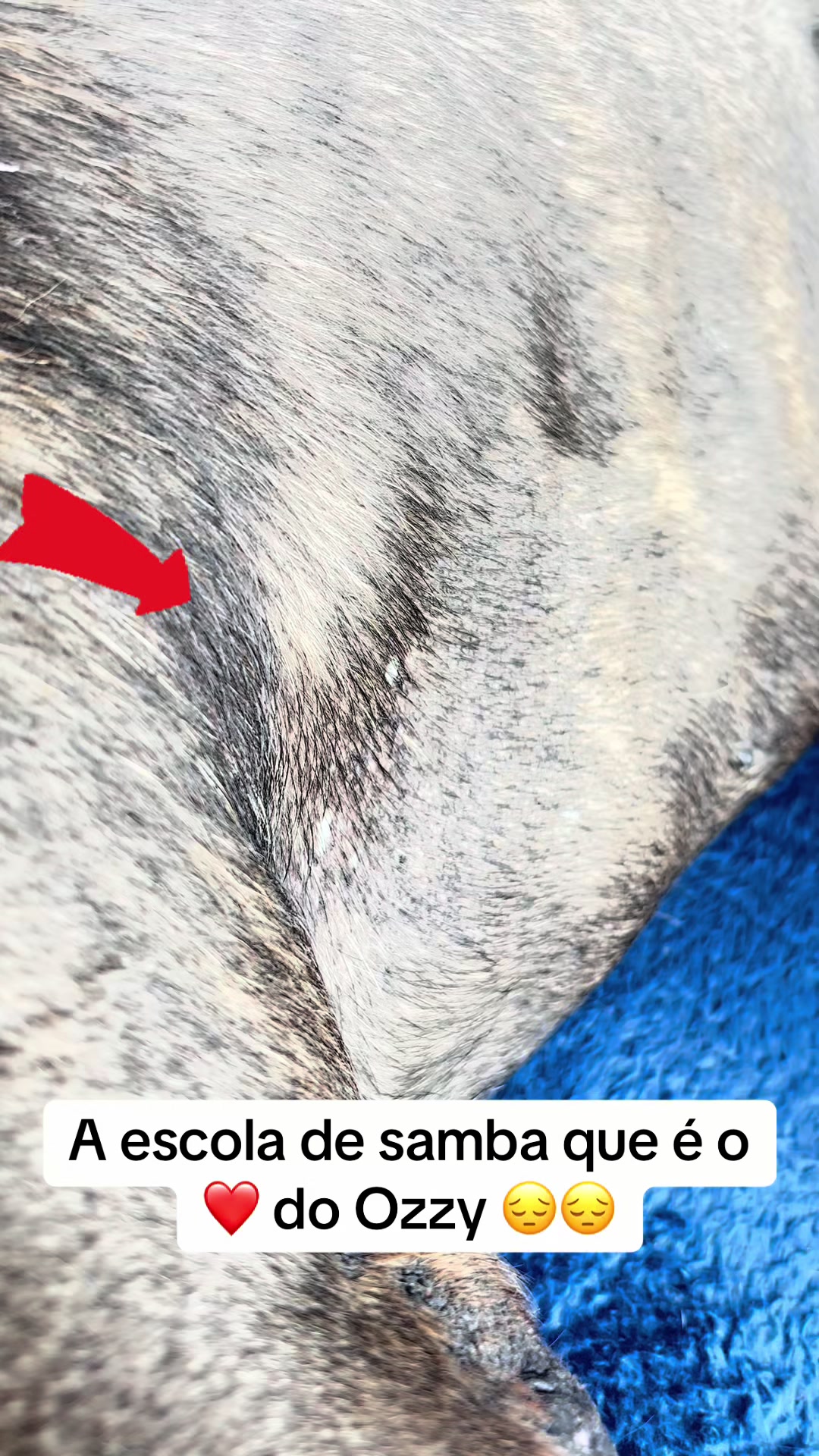 @Ana
