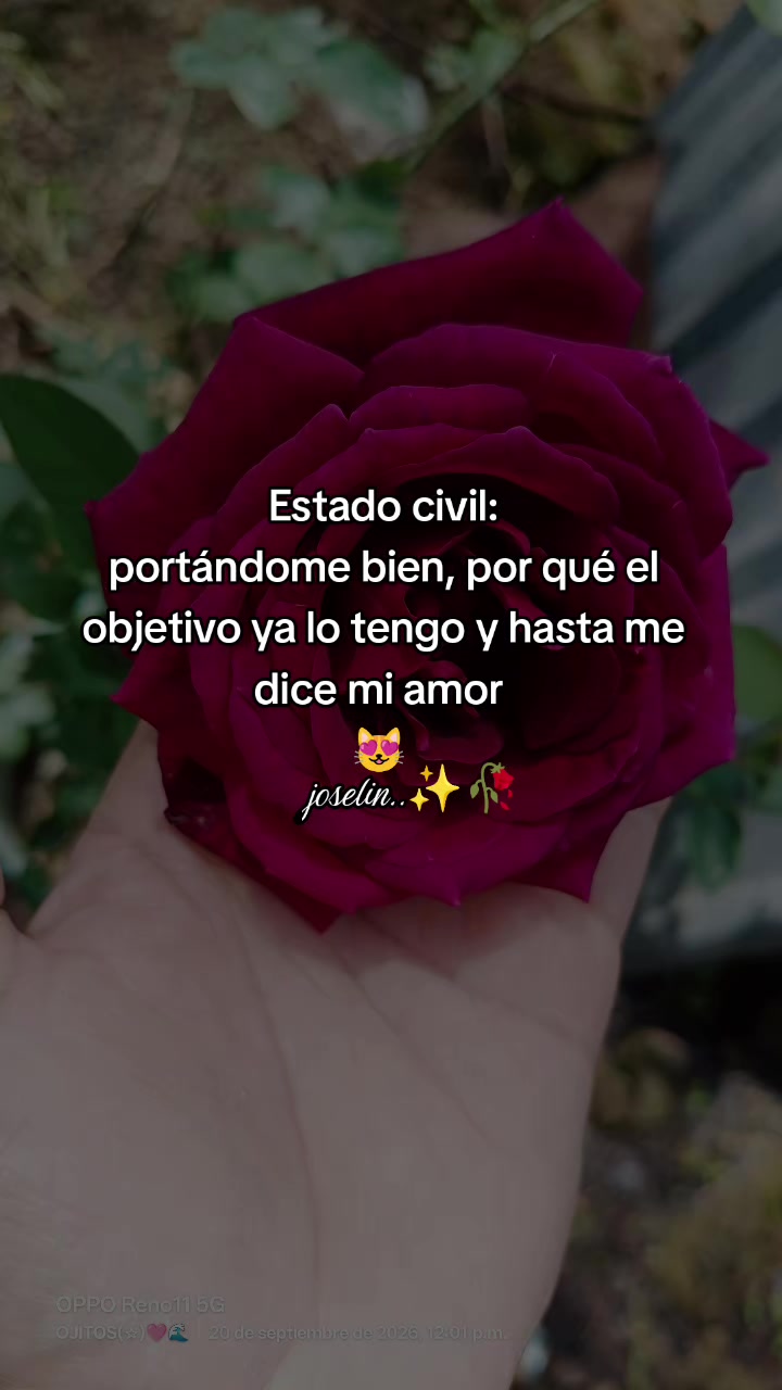 @᭄🔥J̳o̳s̳e̳l̳i̳n̳❤️❥❥═