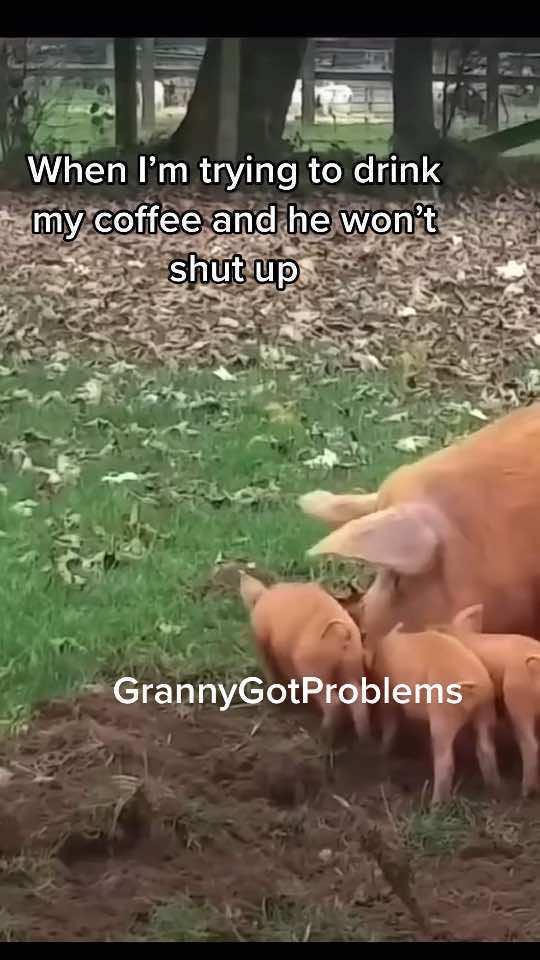 @GrannyGot Problems