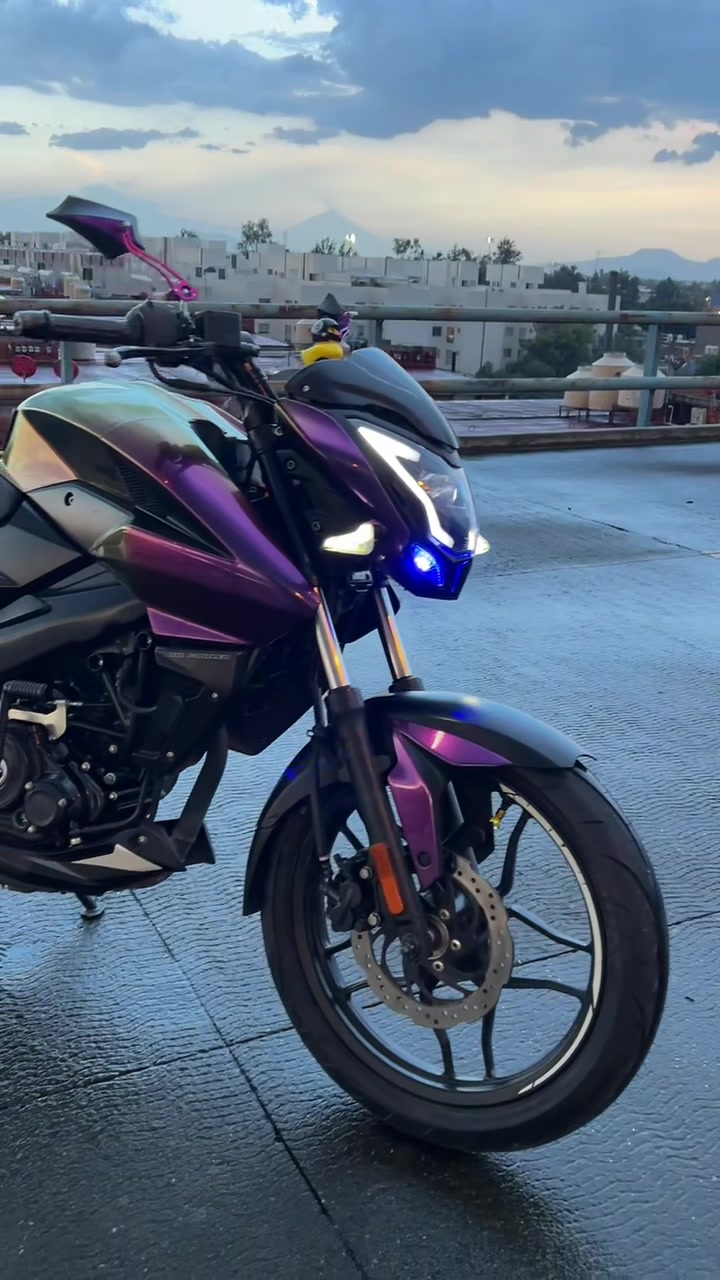 @Kraken Wraps Mx 🦑