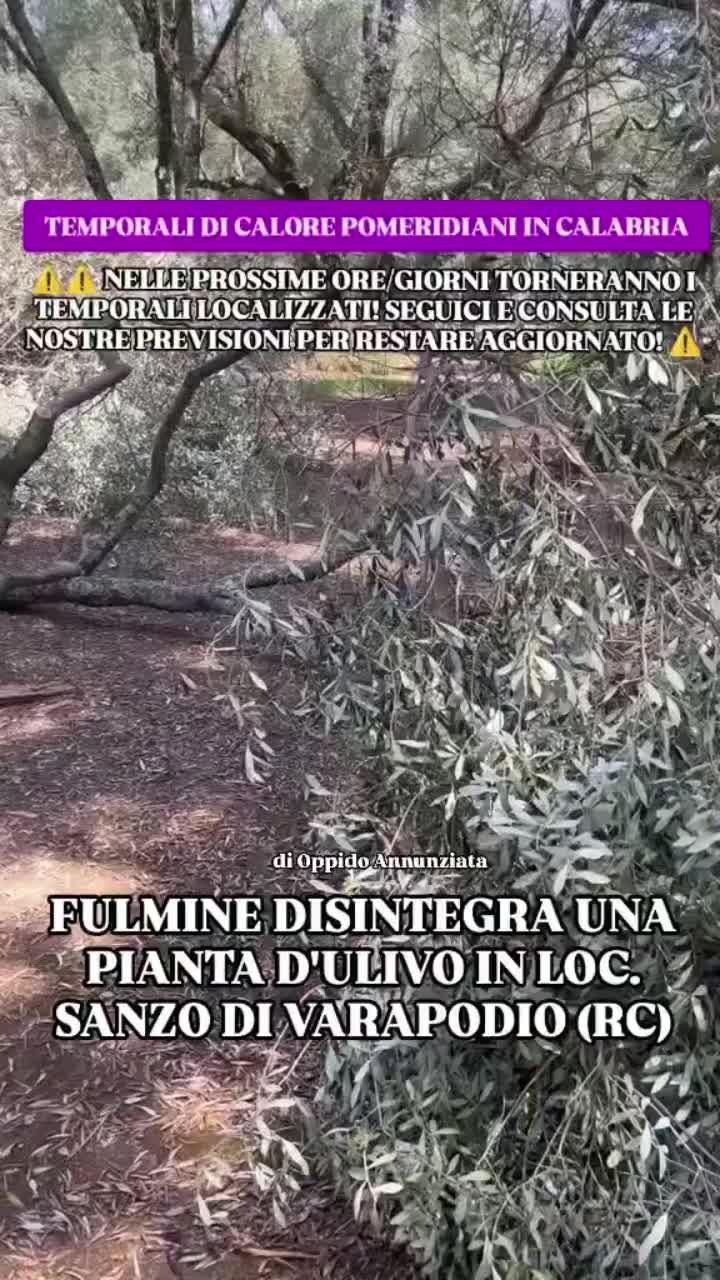 @MLG - METEO LO GULLO