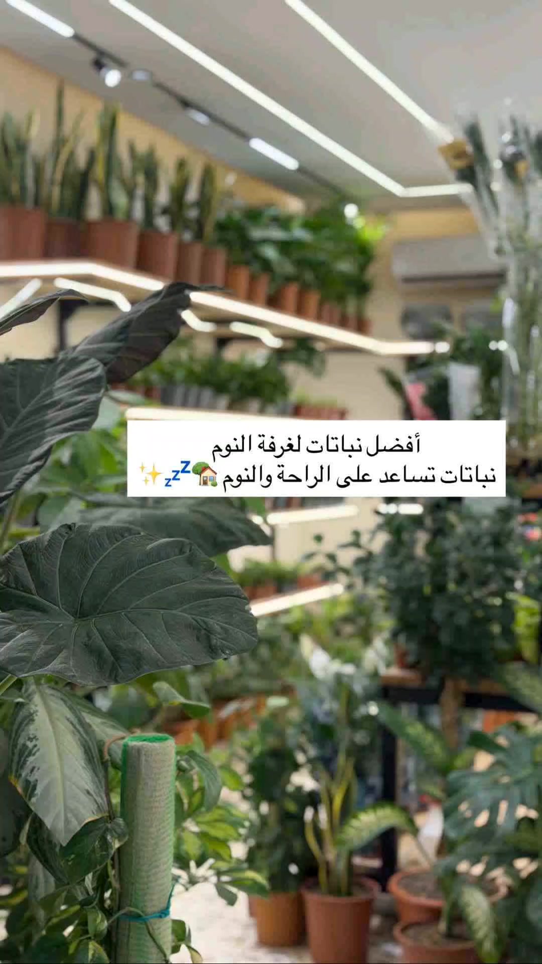 @هدوء البحر