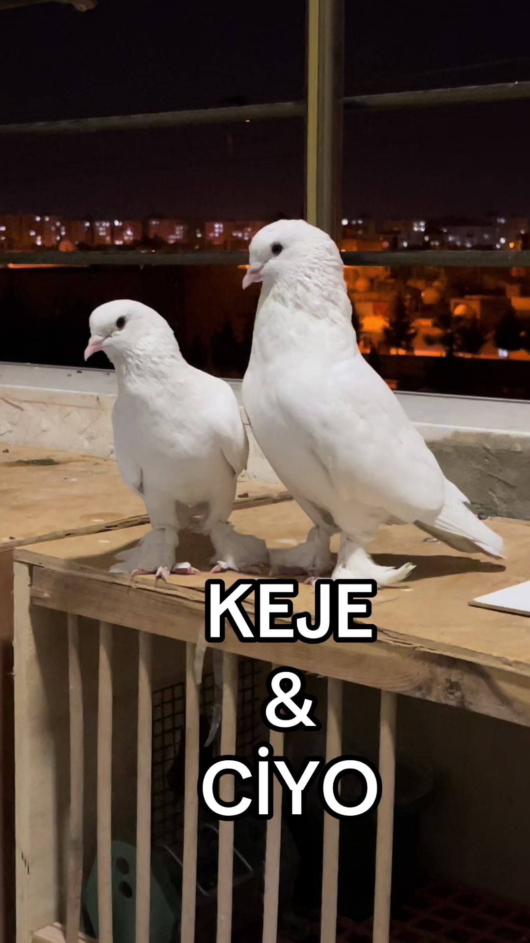 @47 argeş