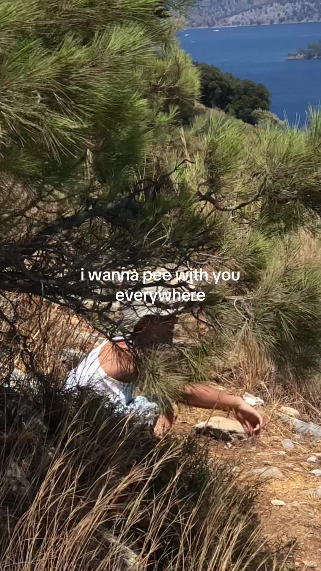 @bambinoirl