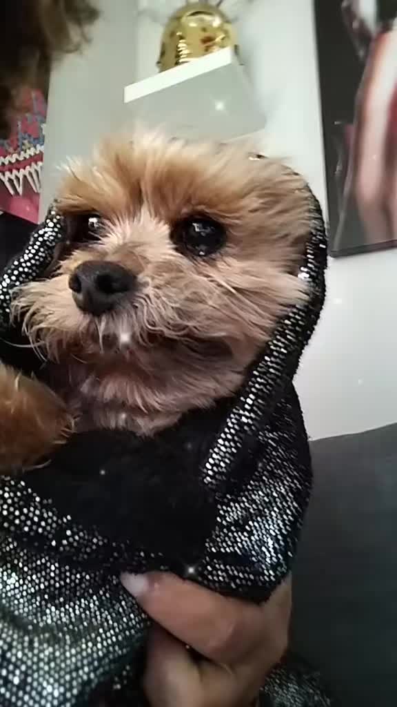 @💫✨❤️missysabelle❤️✨💫