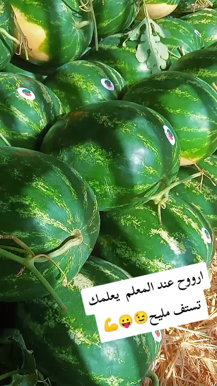 @@Zaki oskar