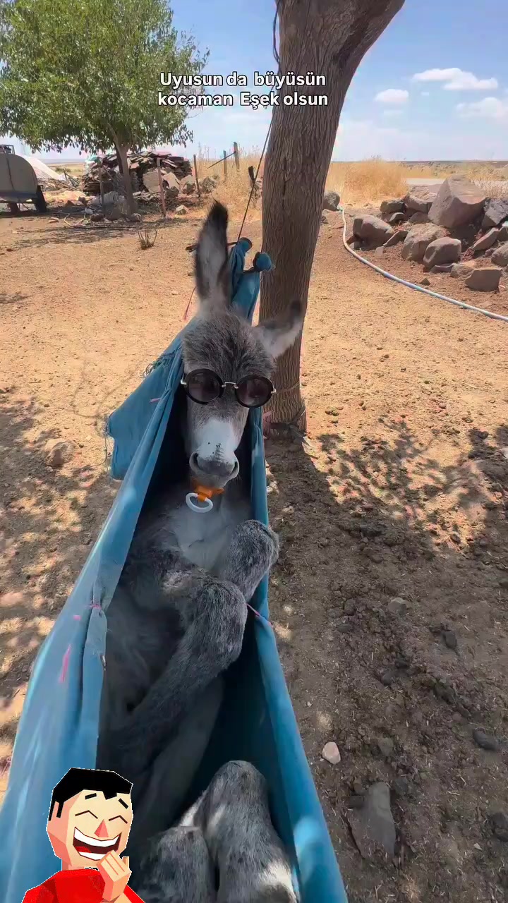 @zzzz