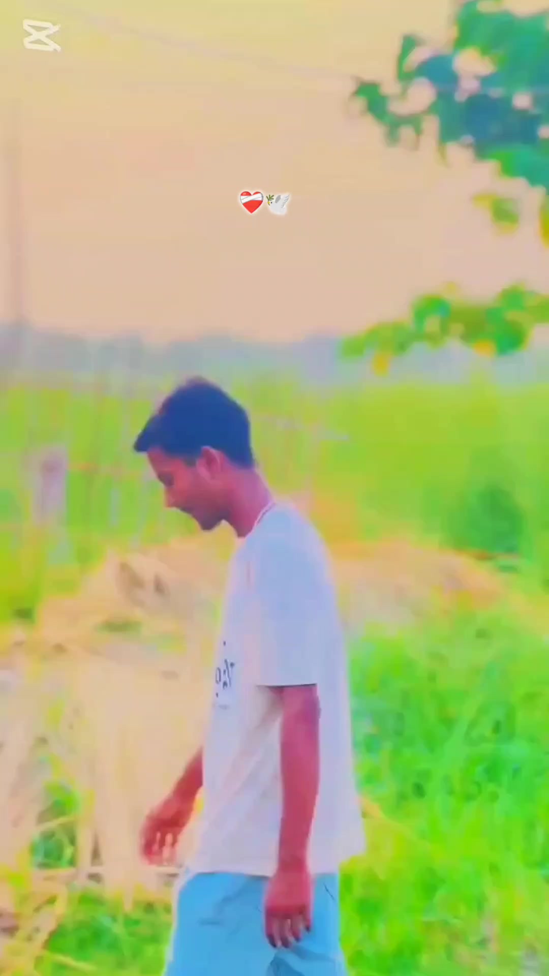 @Sumit Bibek