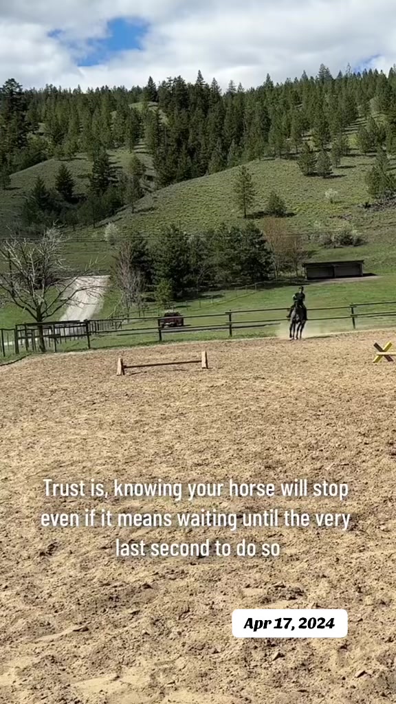 @Rudnik the Roan