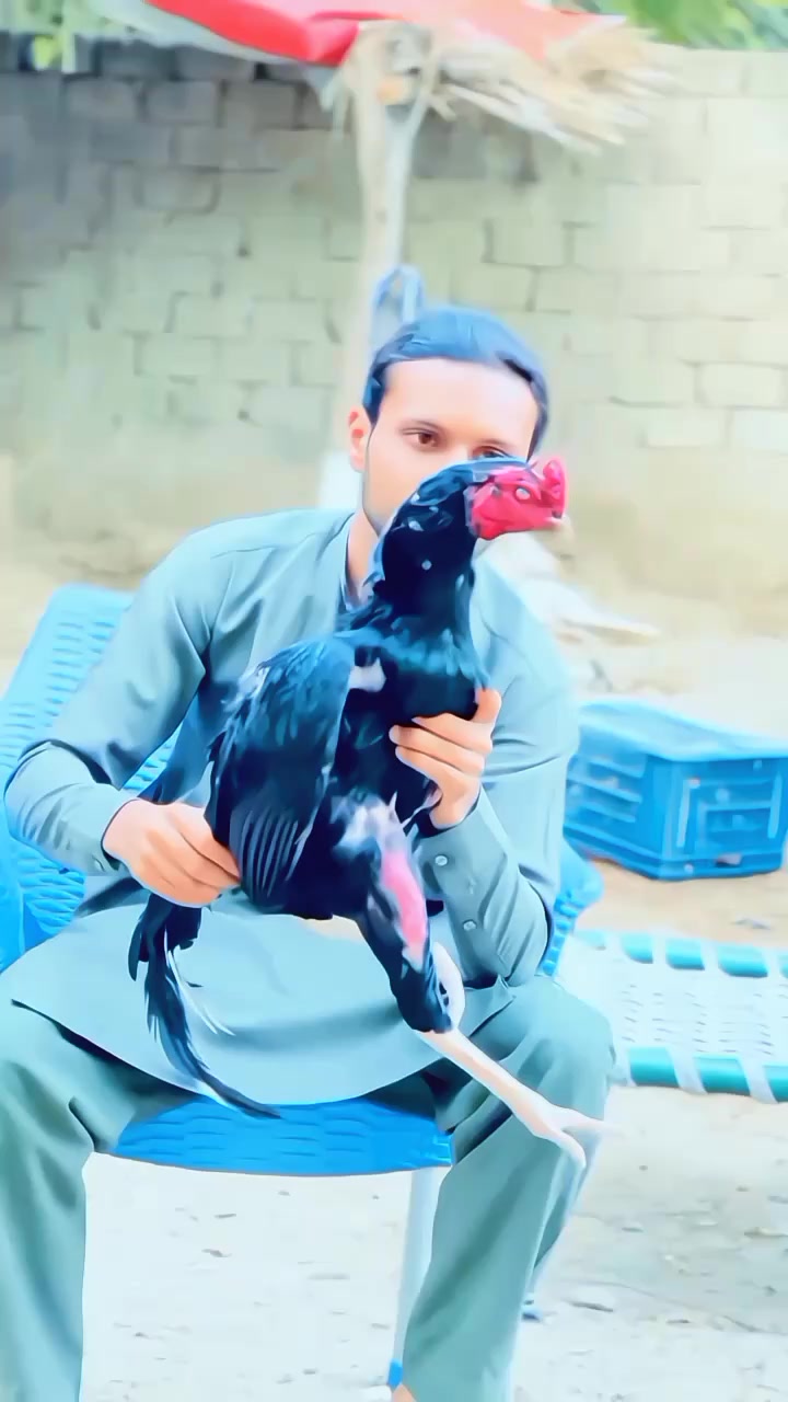 @آویز💸