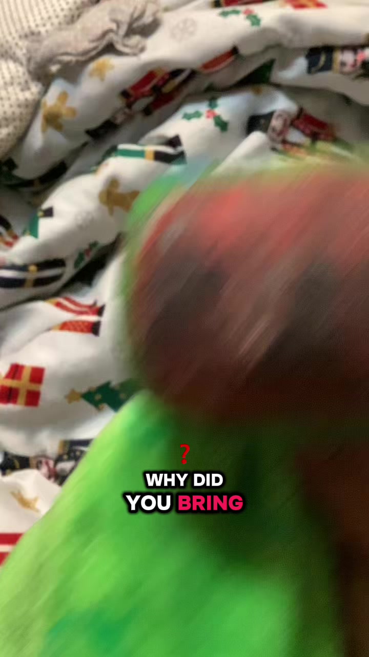 @Carl the cat