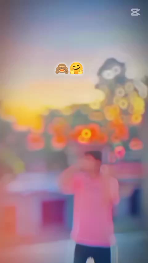 @๐ฆโจ๐๐ณ๐ฎ๐จ๐๐๐ฃ๐ฉ๐โจ๐ฆ