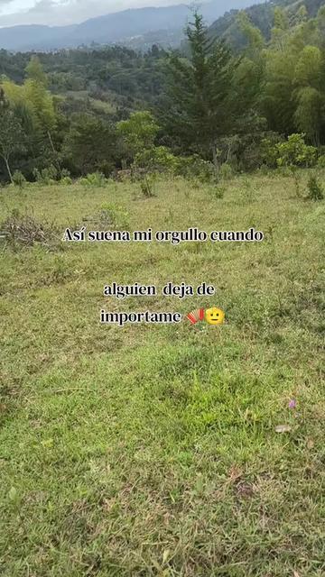 @S&aacute;nchez Vivianita 🧬