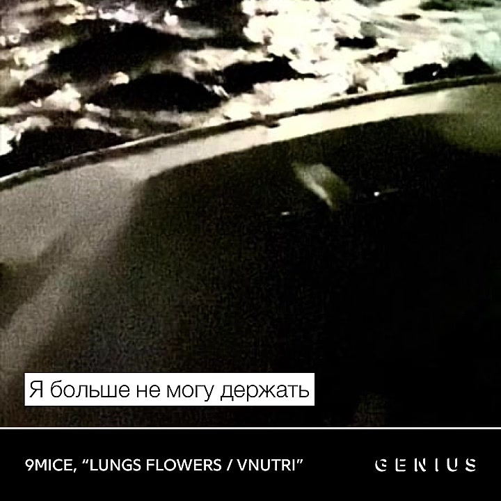 @тимурпеченька