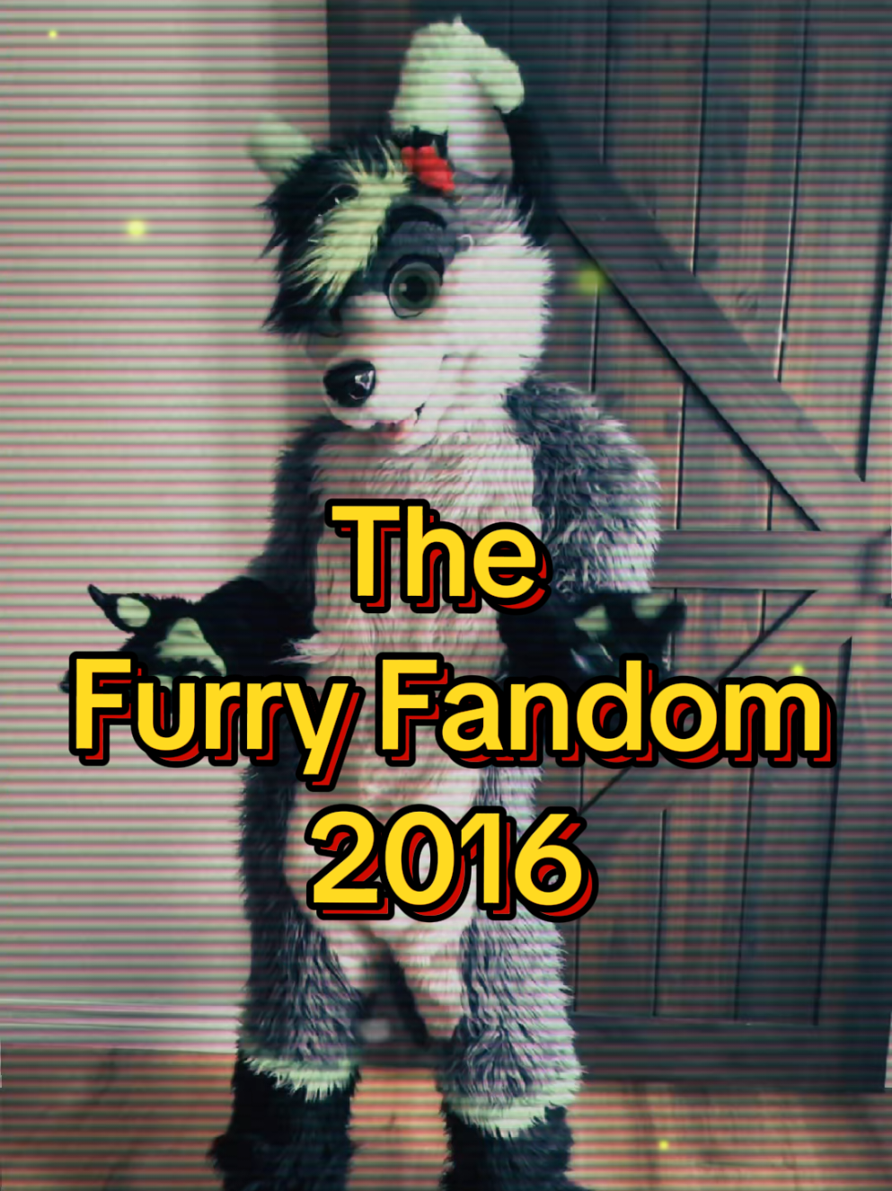 @Firefly Wolfy
