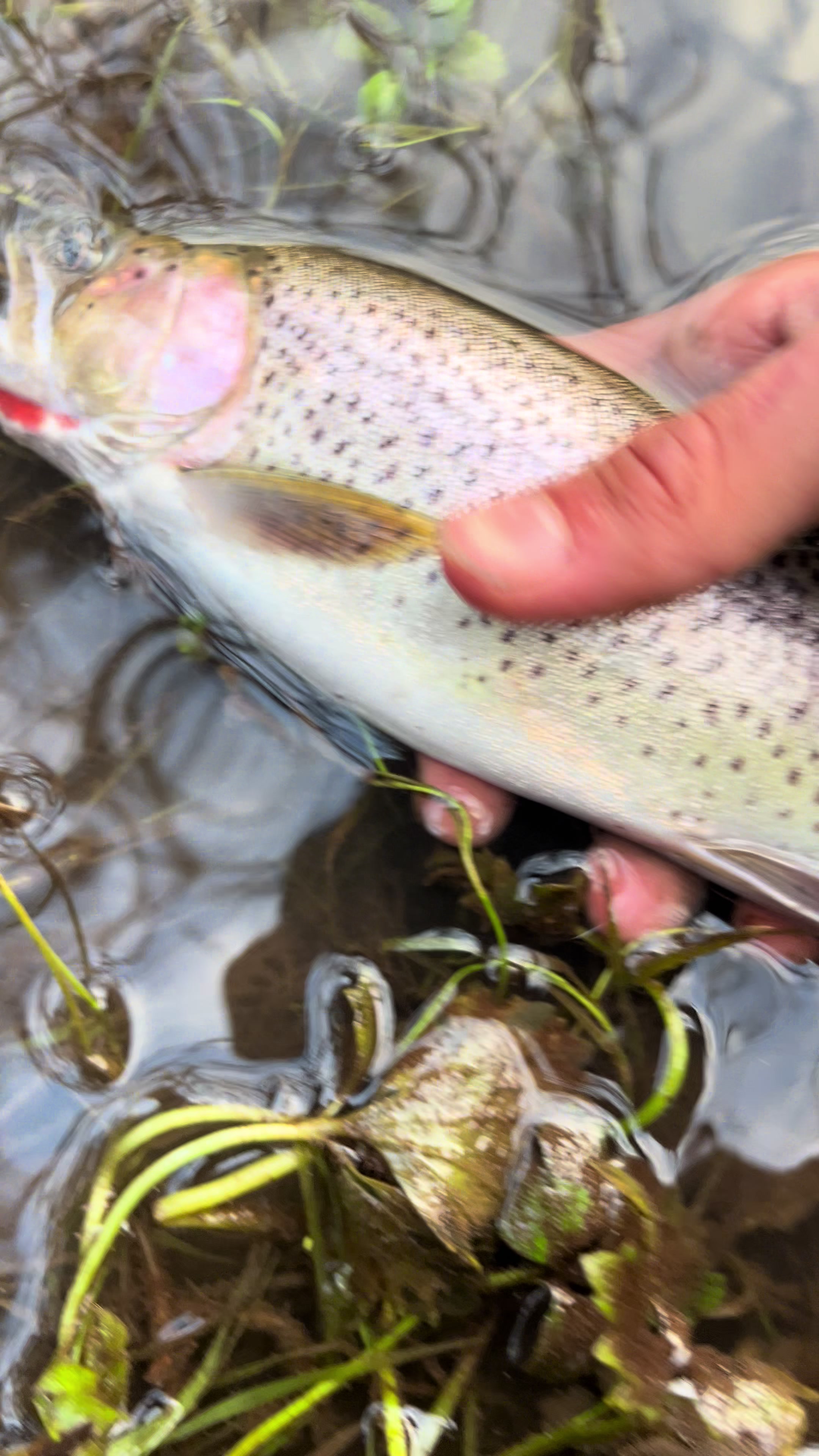 @FishingWithCam
