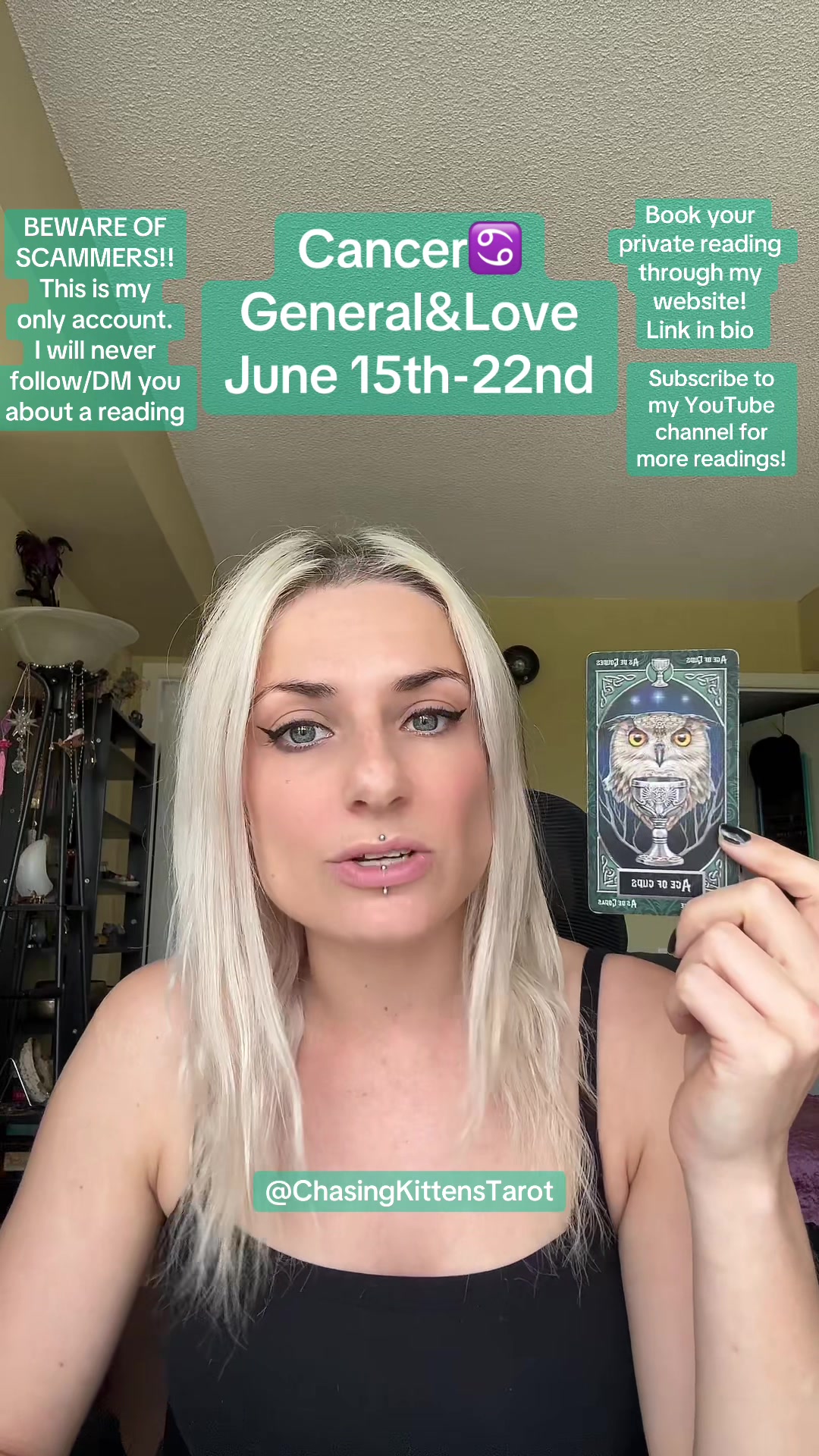 @ChasingKittensTarot