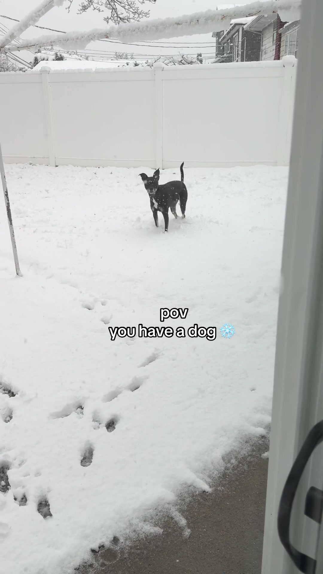 @Samantha