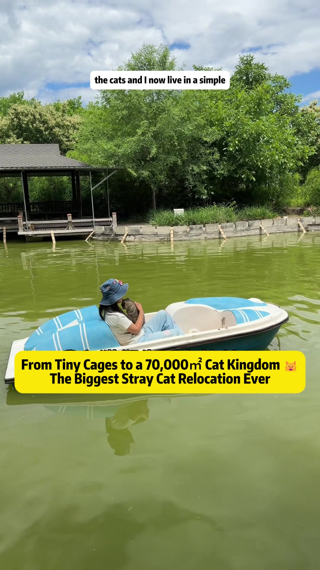 @Stray Cat Talkz
