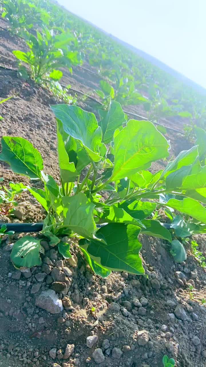 @Eşref_4721