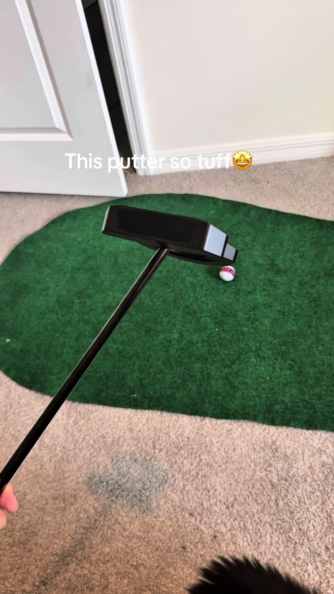 @stupidsupply