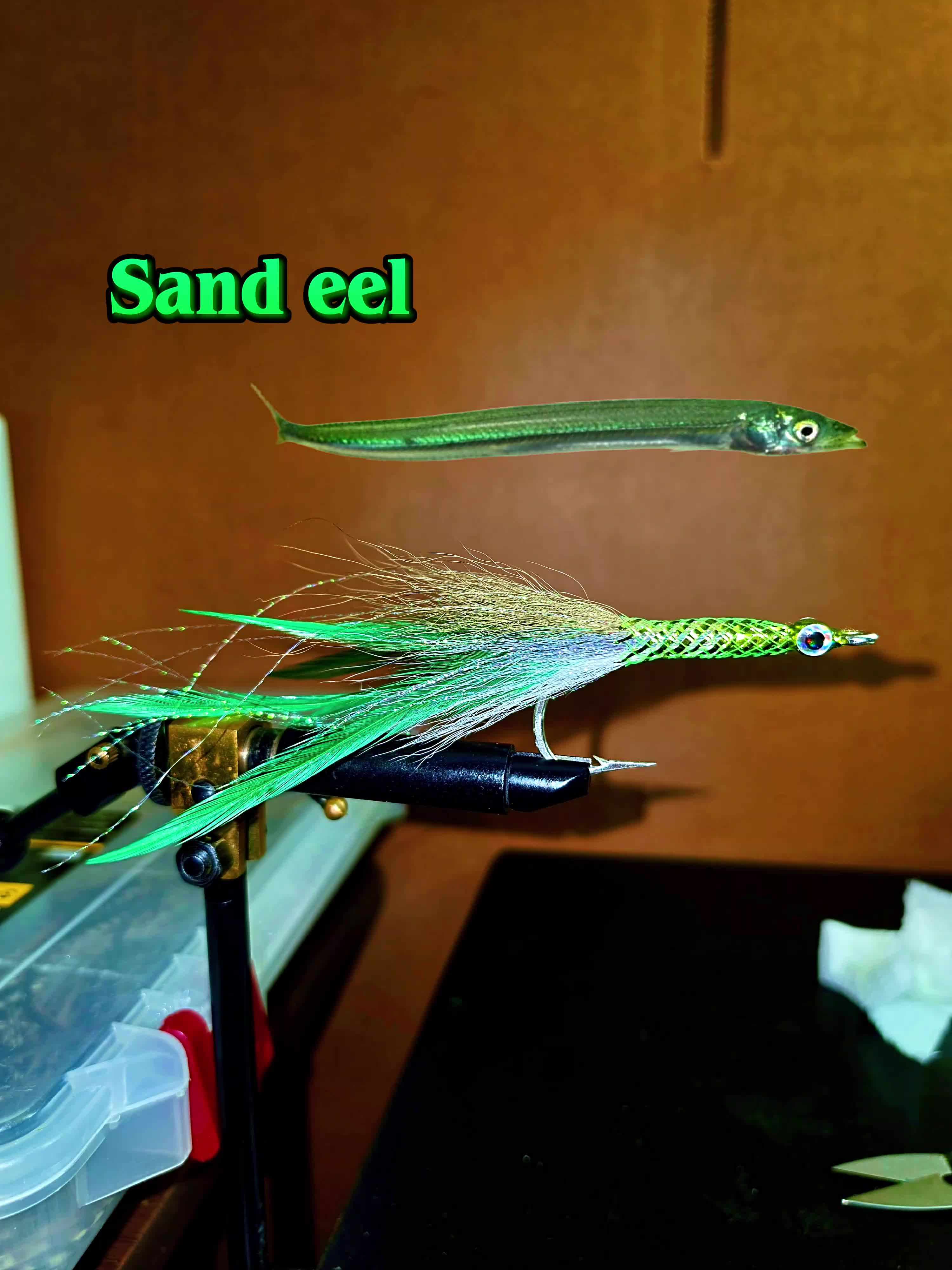 @Pescador🎣🦈