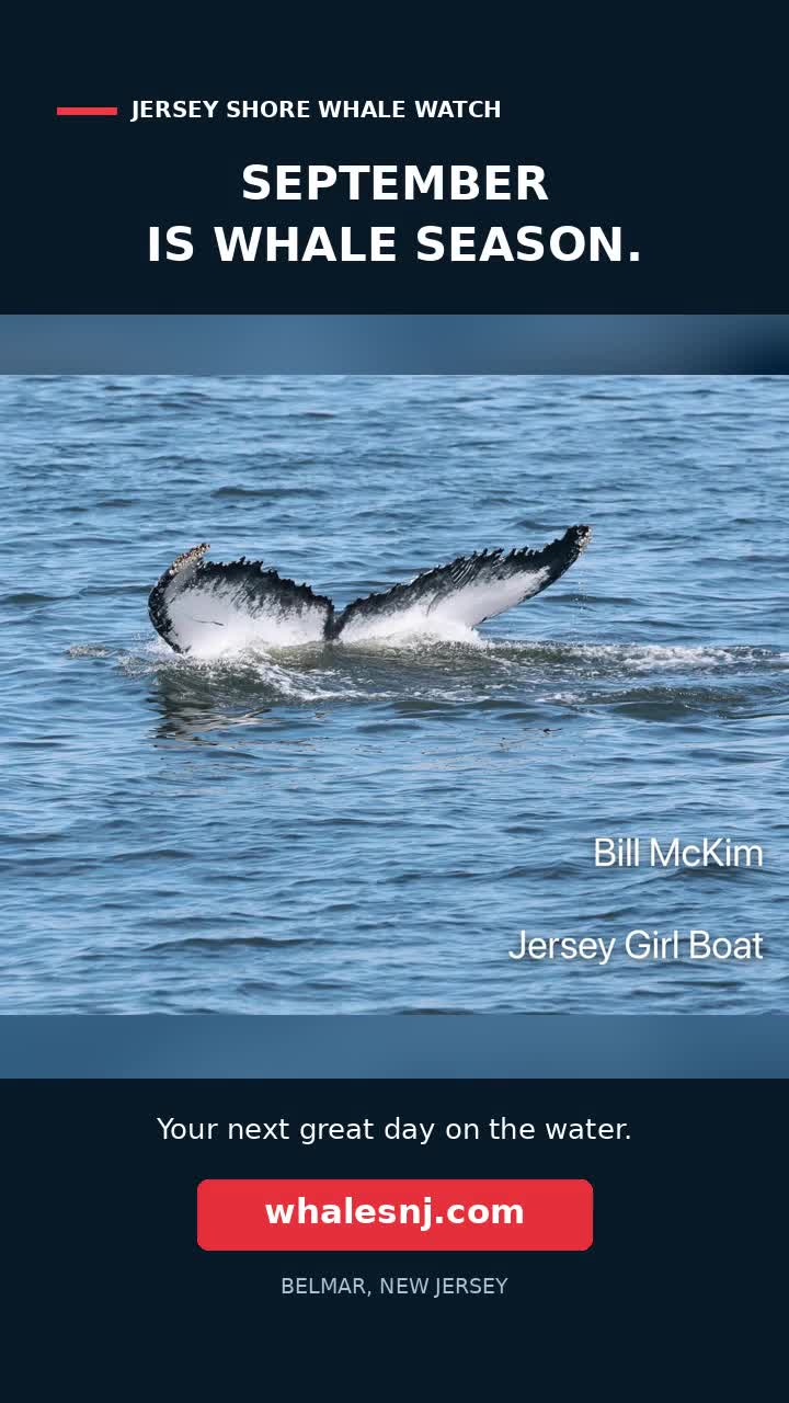 @BillMcKim