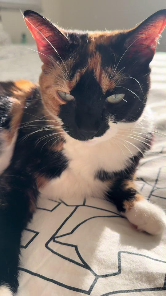 @Kesha and Mia