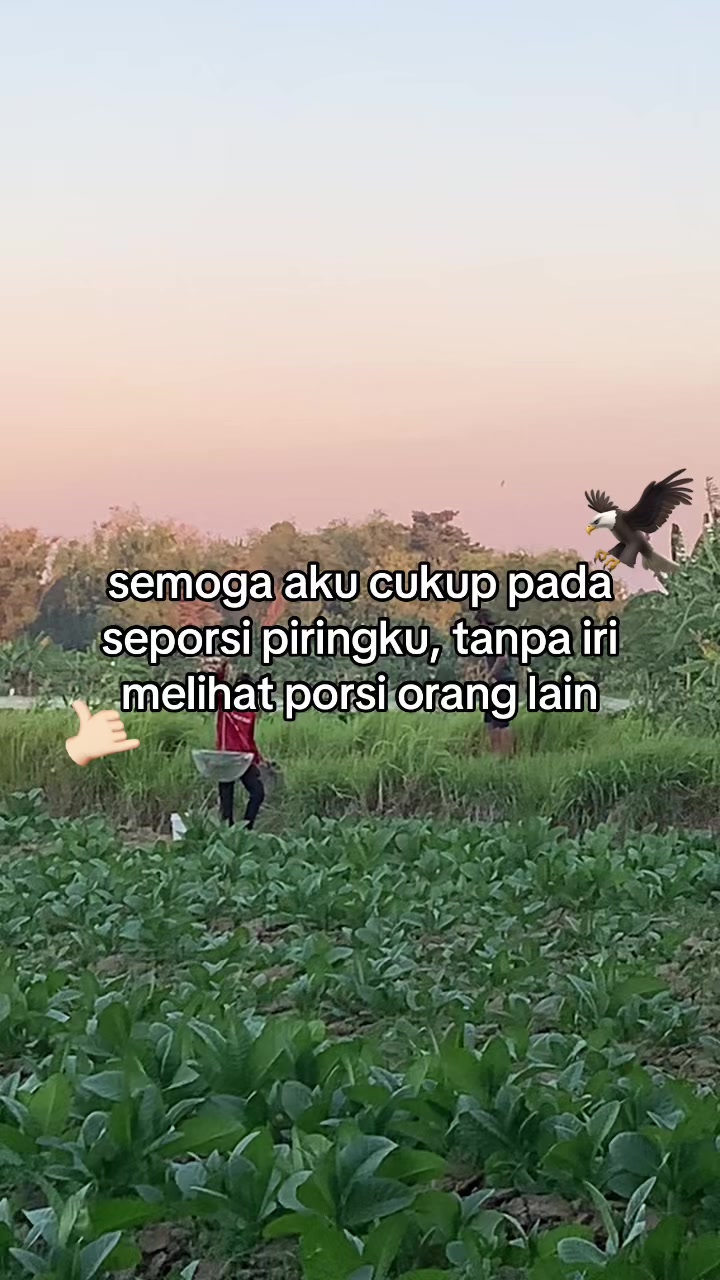 @sccbn2