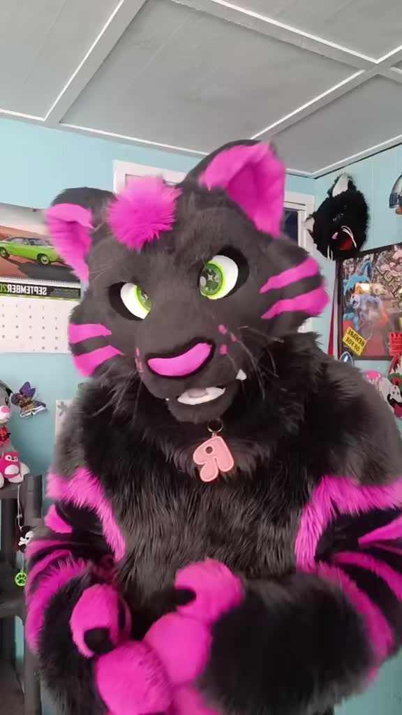 @dingbat 🐾 mew,mew 🐾