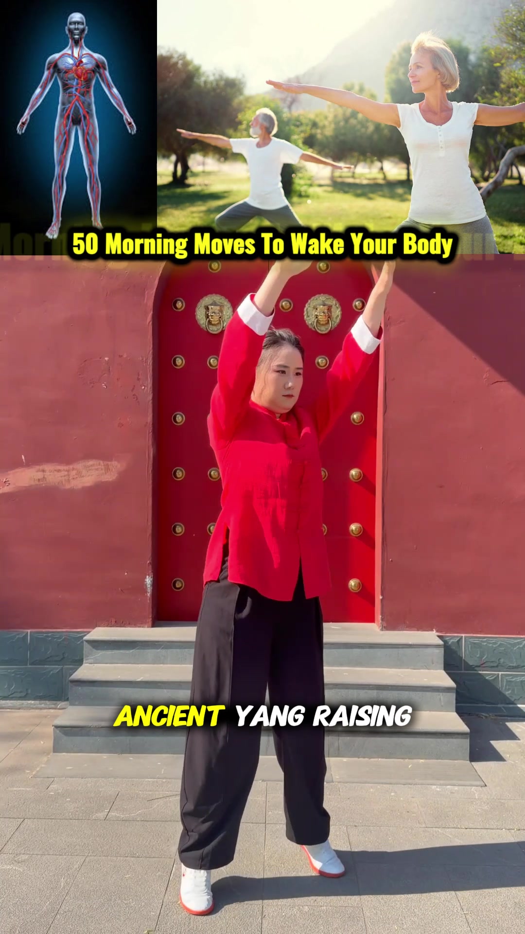 @ocotaichi.guide