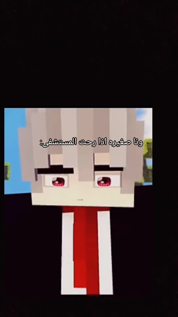 @الرئيس التنفيذي القحـطاني