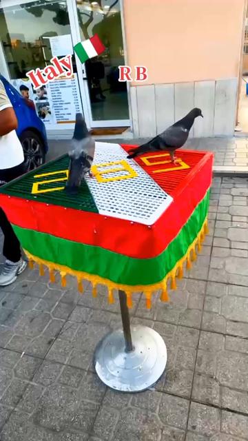 @Shok Jaranwala 25🕊️