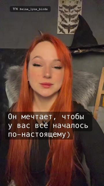 @Reina_lynx