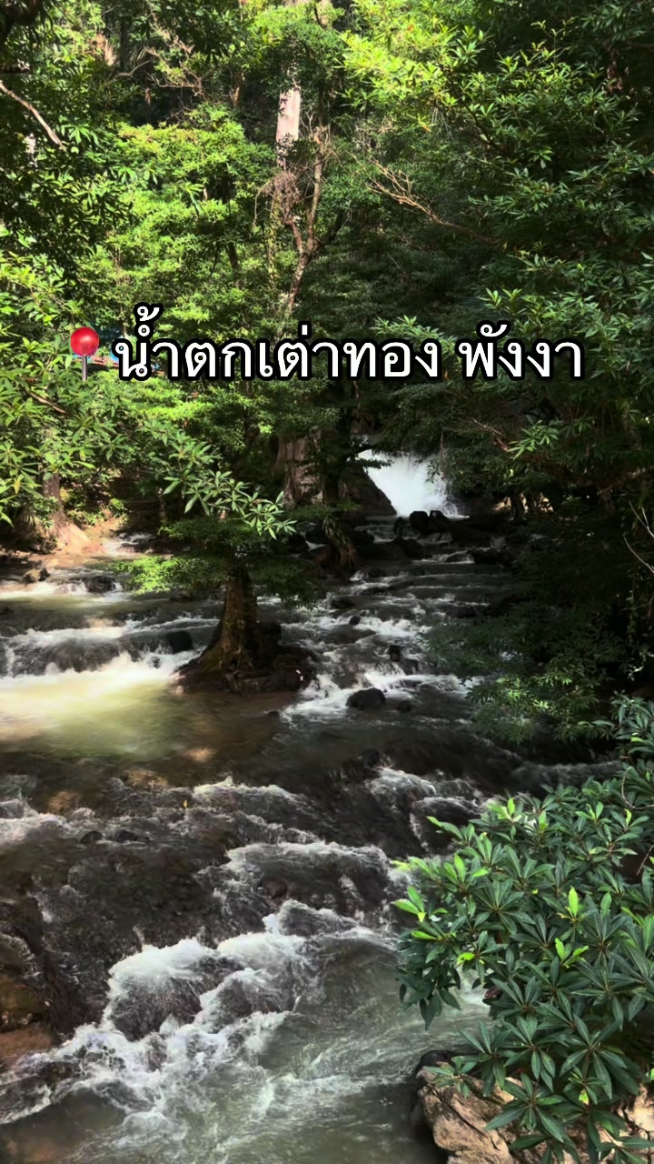 @Fongbeer