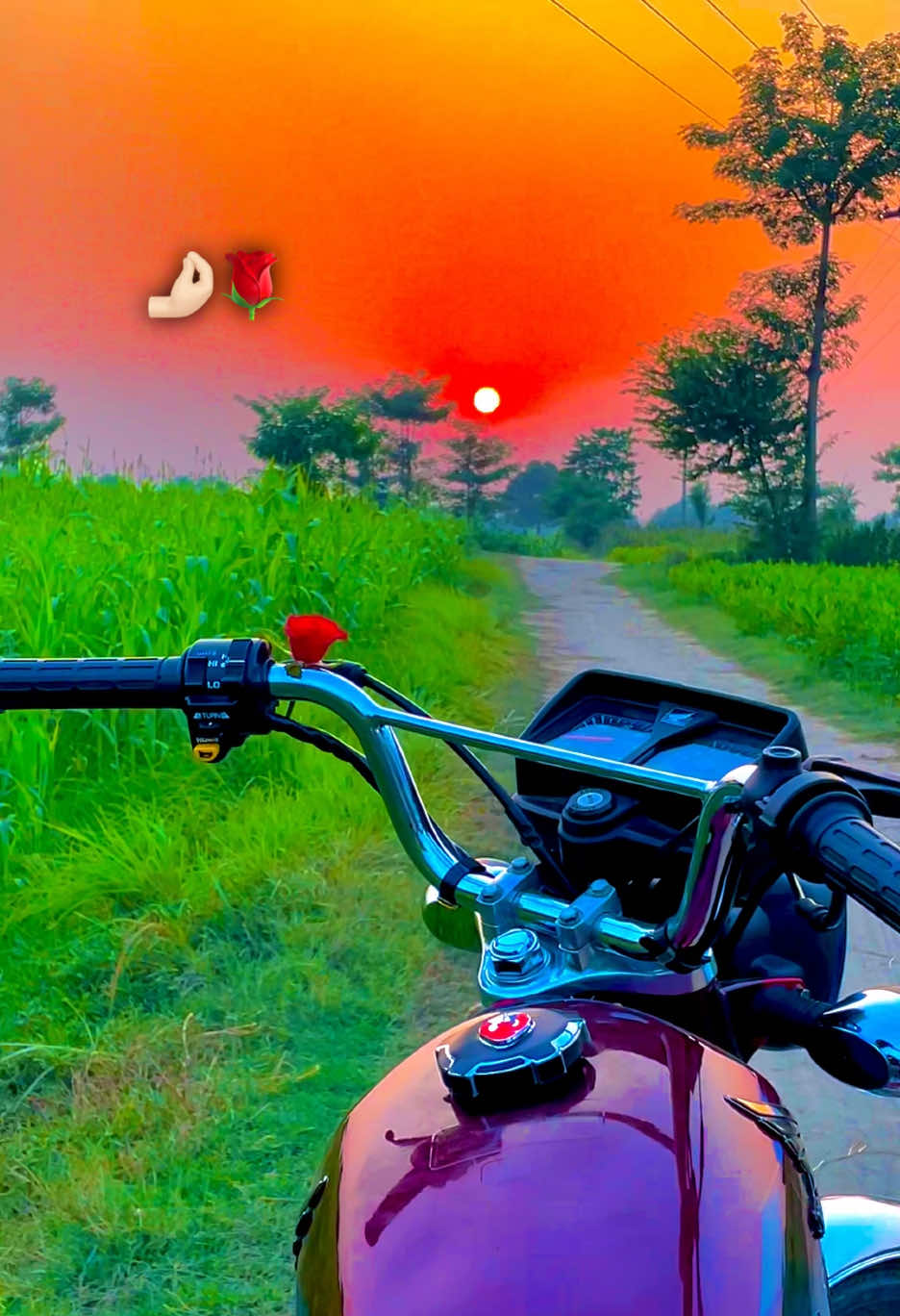 @😎اویس راجپوت🕊️❤️🔥