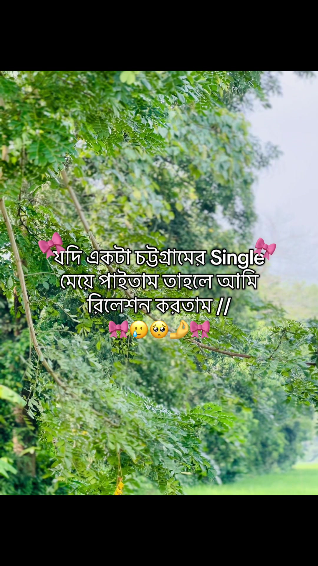 @টিক_টকি 🐸