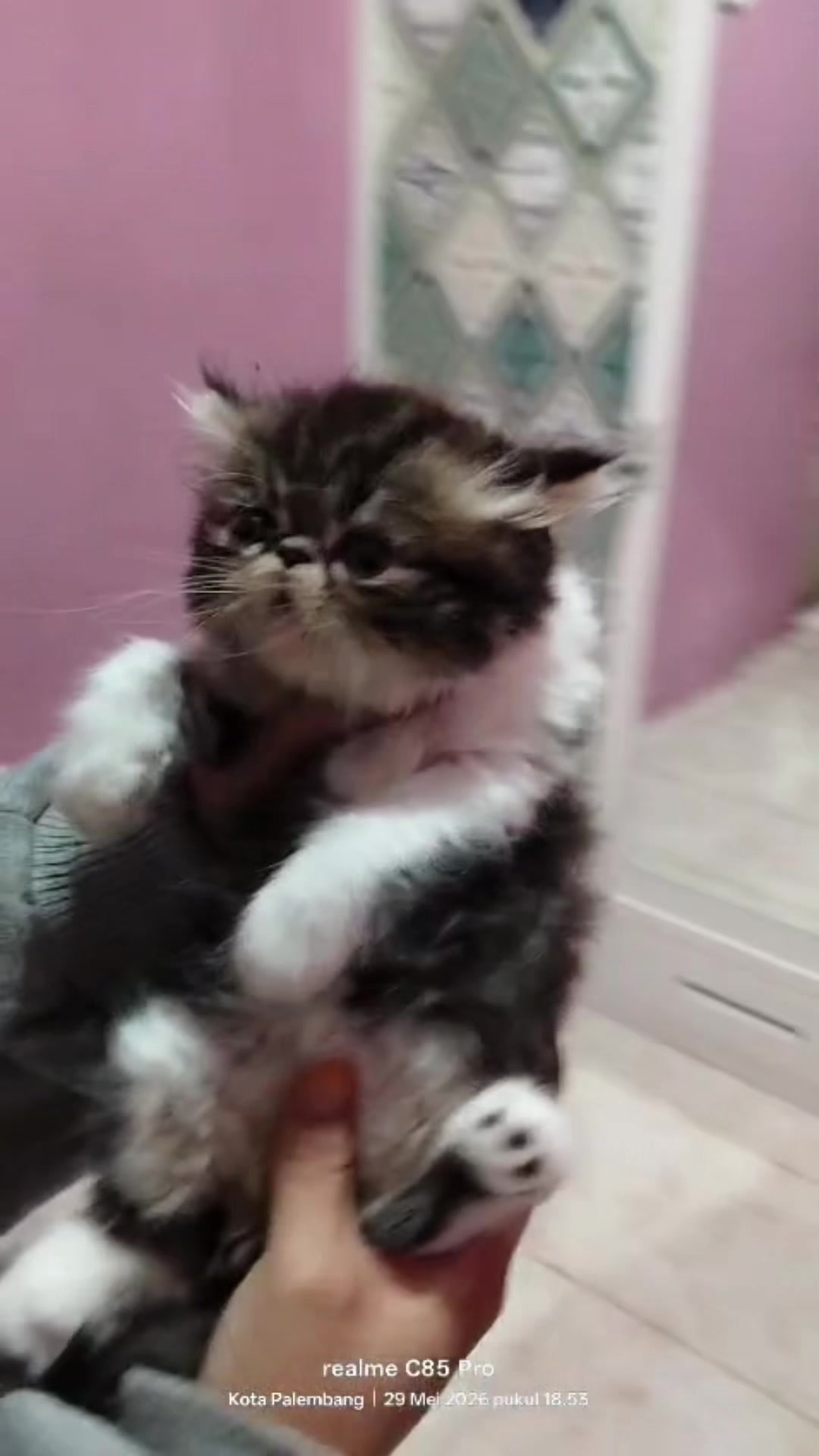@Luskyocat