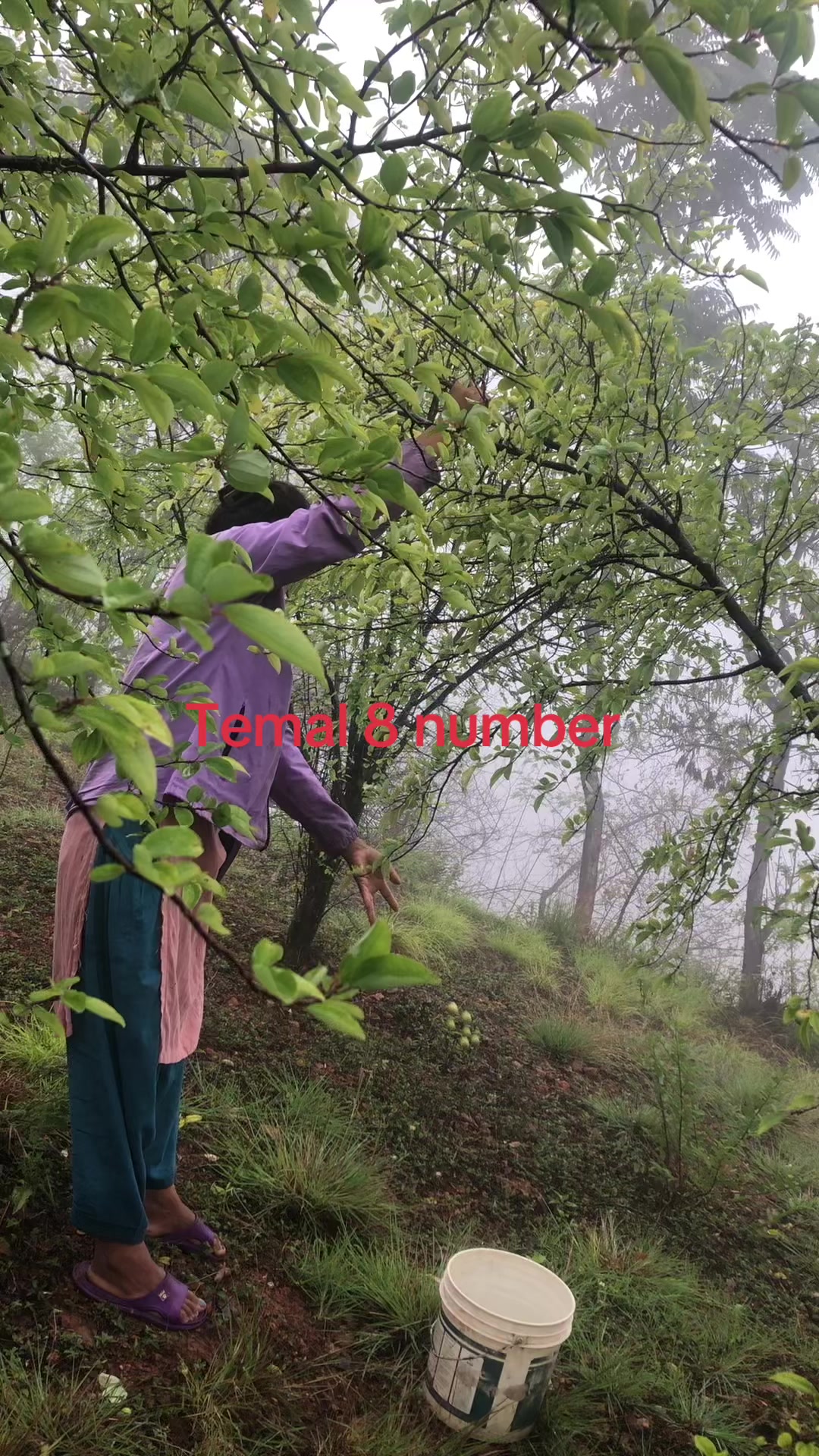 @DJ मेघ लामा